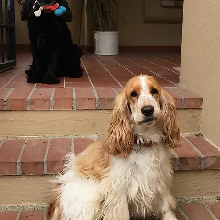 Il Colle Delle Terrazze 4*