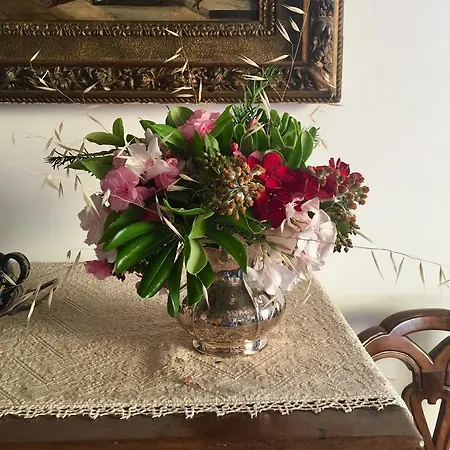 Il Colle Delle Terrazze