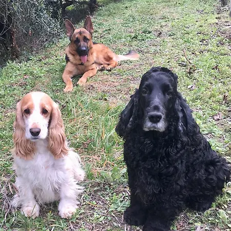 Il Colle Delle Terrazze