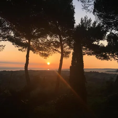 Il Colle Delle Terrazze *