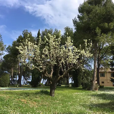Il Colle Delle Terrazze Pensjonat *