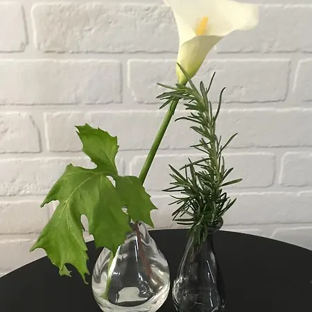 Guest house Il Colle Delle Terrazze