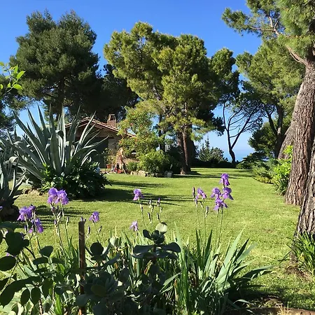 Il Colle Delle Terrazze