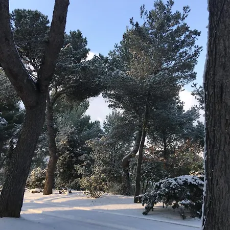 Guest house Il Colle Delle Terrazze 4*