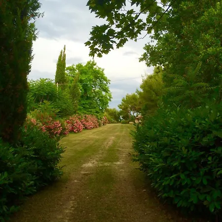 Guest house Il Colle Delle Terrazze Fano